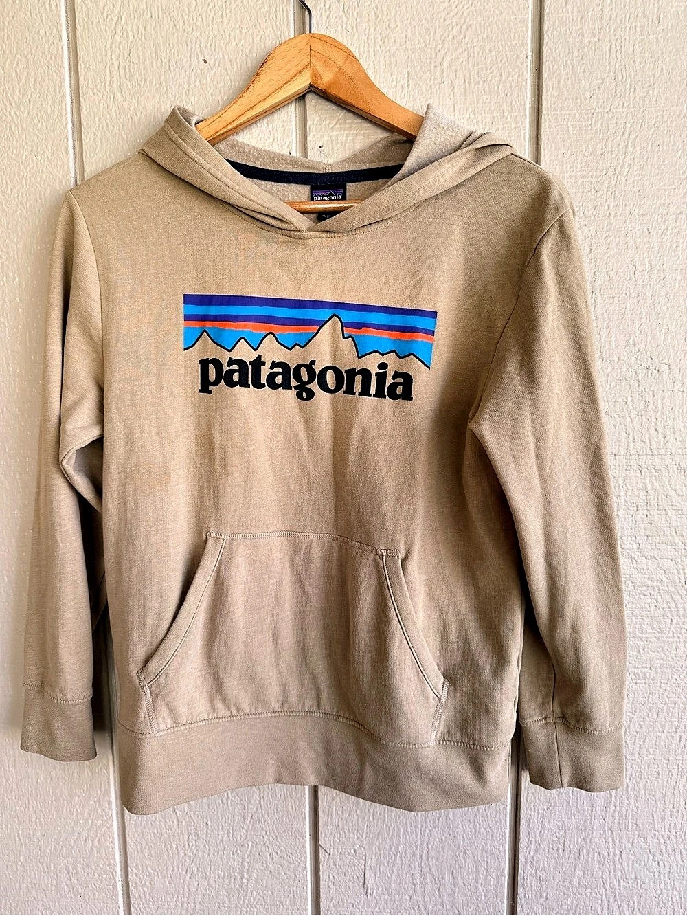 Patagonia Youth Kids L P-6 Logo Fitz Roy Hooded Sweatshirt Tan Beige